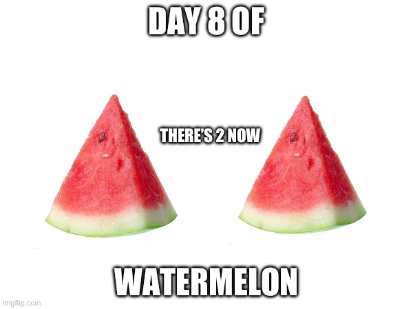 :P | DAY 8 OF; THERE’S 2 NOW; WATERMELON | image tagged in watermelons | made w/ Imgflip meme maker