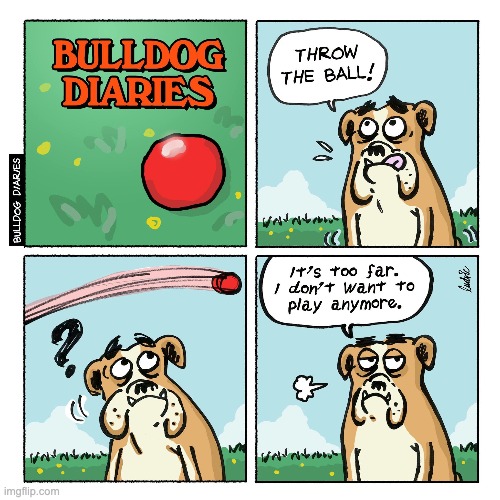 Bulldog | image tagged in comics,funny,dogs | made w/ Imgflip meme maker