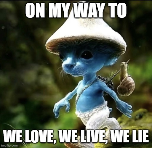 Blue Smurf cat | ON MY WAY TO; WE LOVE, WE LIVE, WE LIE | image tagged in blue smurf cat | made w/ Imgflip meme maker