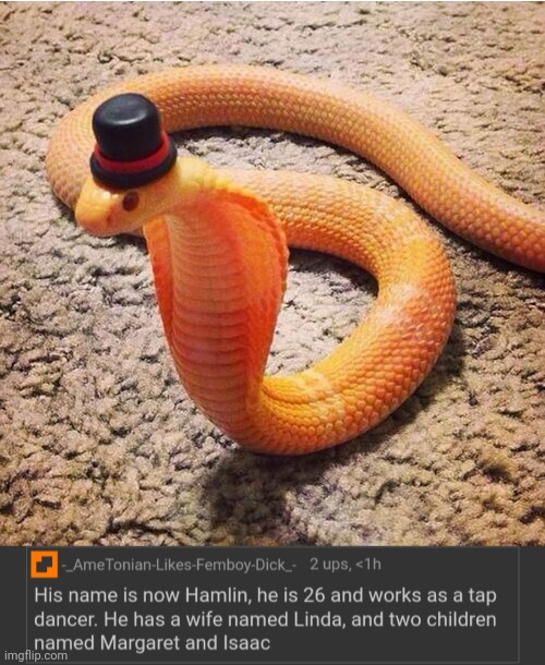 image tagged in dapper snek | made w/ Imgflip meme maker