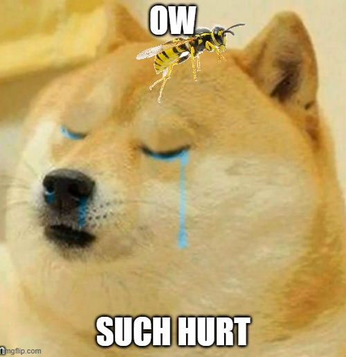 doge gets stung by wasp | OW; SUCH HURT | image tagged in sad doge,doge,memes | made w/ Imgflip meme maker