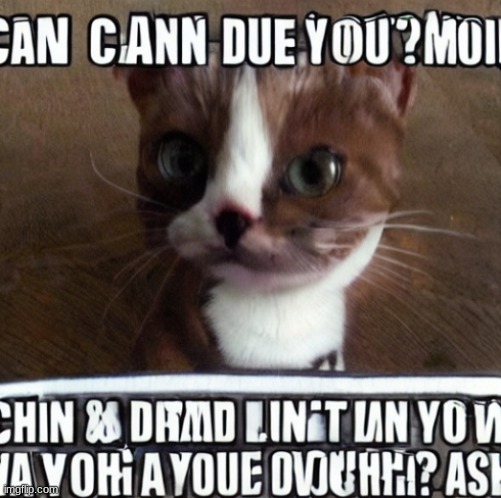 my cat | image tagged in can you dont cusred | made w/ Imgflip meme maker