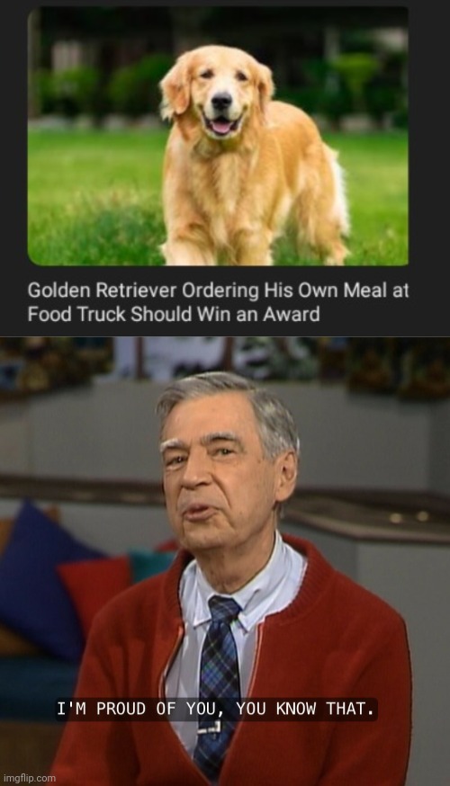 Ordering his own meal | image tagged in mister rogers i'm proud of you,dogs,dog,meal,order,memes | made w/ Imgflip meme maker