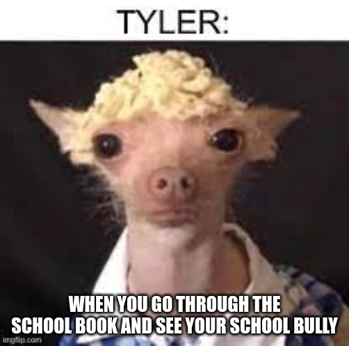 tyler | WHEN YOU GO THROUGH THE SCHOOL BOOK AND SEE YOUR SCHOOL BULLY | image tagged in tyler | made w/ Imgflip meme maker