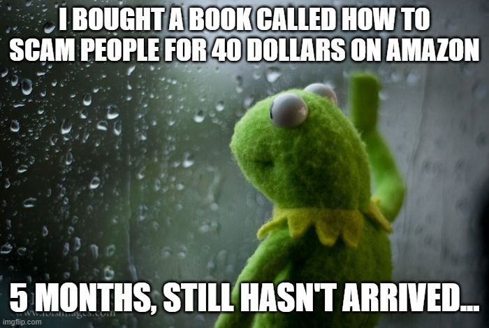 smack... | I BOUGHT A BOOK CALLED HOW TO SCAM PEOPLE FOR 40 DOLLARS ON AMAZON; 5 MONTHS, STILL HASN'T ARRIVED... | image tagged in kermit window | made w/ Imgflip meme maker