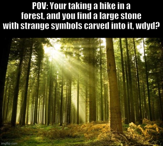 sunlit forest | POV: Your taking a hike in a forest, and you find a large stone with strange symbols carved into it, wdyd? | image tagged in sunlit forest | made w/ Imgflip meme maker