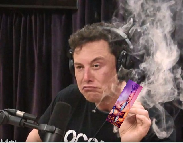 Elon Musk smoking a joint | image tagged in elon musk smoking a joint | made w/ Imgflip meme maker