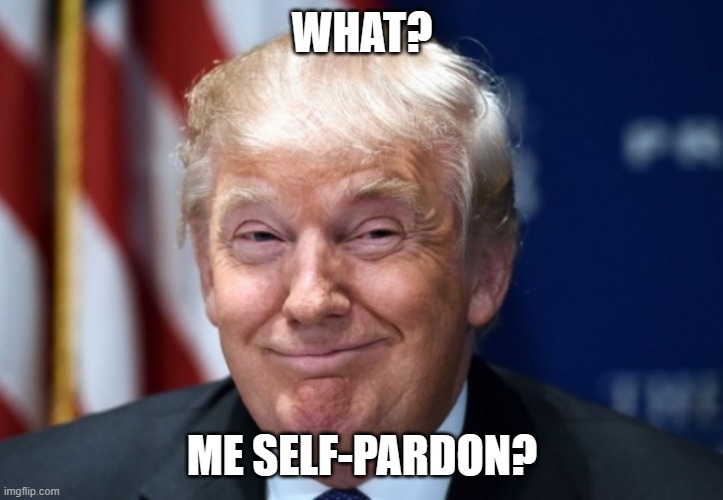 Donald Trump Smiles | WHAT? ME SELF-PARDON? | image tagged in donald trump smiles | made w/ Imgflip meme maker