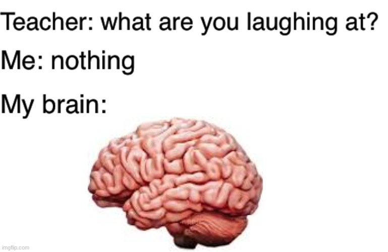 real | image tagged in teacher what are you laughing at | made w/ Imgflip meme maker