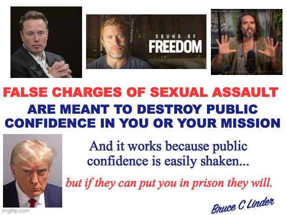Don't Let Them Win | FALSE CHARGES OF SEXUAL ASSAULT; ARE MEANT TO DESTROY PUBLIC CONFIDENCE IN YOU OR YOUR MISSION; And it works because public
confidence is easily shaken... but if they can put you in prison they will. Bruce C Linder | image tagged in elon musk,russell brand,donald trump,tim ballard,public confidence,destroying your mission | made w/ Imgflip meme maker