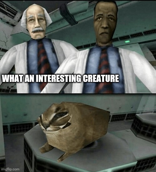 WHAT AN INTERESTING CREATURE | made w/ Imgflip meme maker