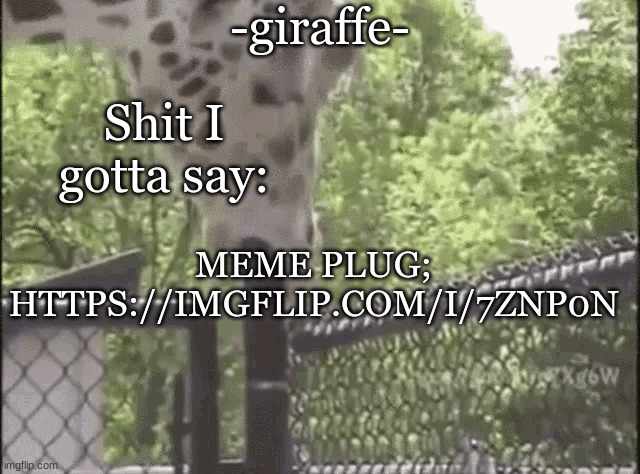 -giraffe- | MEME PLUG; HTTPS://IMGFLIP.COM/I/7ZNP0N | image tagged in -giraffe- | made w/ Imgflip meme maker