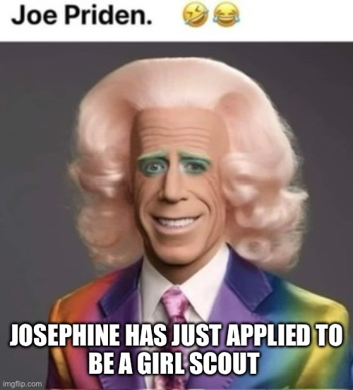 Josephine finds her place in the world | JOSEPHINE HAS JUST APPLIED TO
BE A GIRL SCOUT | image tagged in gay joe,memes,buff doge vs cheems | made w/ Imgflip meme maker