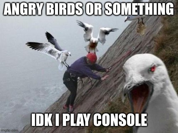 doo-doo-do-do | ANGRY BIRDS OR SOMETHING; IDK I PLAY CONSOLE | image tagged in angry birds | made w/ Imgflip meme maker