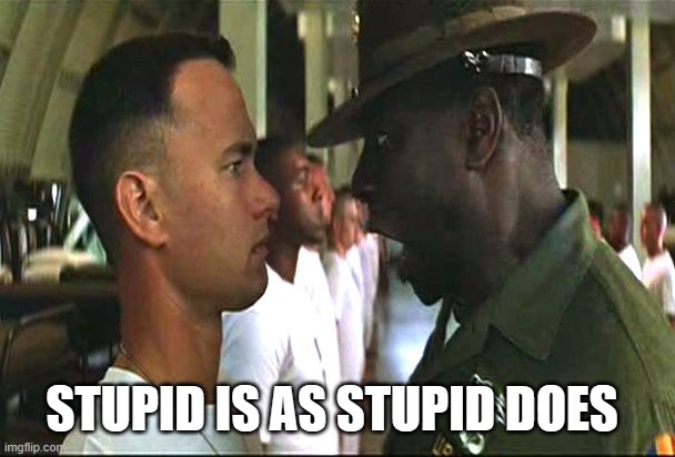 Forrest gump army | STUPID IS AS STUPID DOES | image tagged in forrest gump army | made w/ Imgflip meme maker