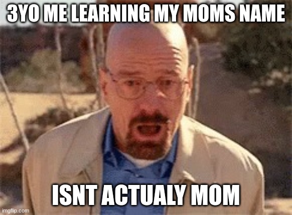 Walter White | 3YO ME LEARNING MY MOMS NAME; ISNT ACTUALY MOM | image tagged in walter white | made w/ Imgflip meme maker