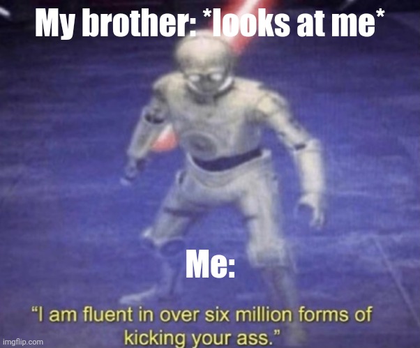 I am fluent in over six million forms of kicking your ass | My brother: *looks at me*; Me: | image tagged in i am fluent in over six million forms of kicking your ass | made w/ Imgflip meme maker