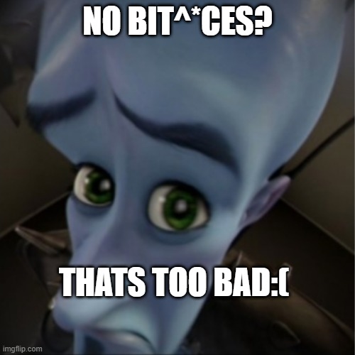 Megamind peeking | NO BIT^*CES? THATS TOO BAD:( | image tagged in megamind peeking | made w/ Imgflip meme maker