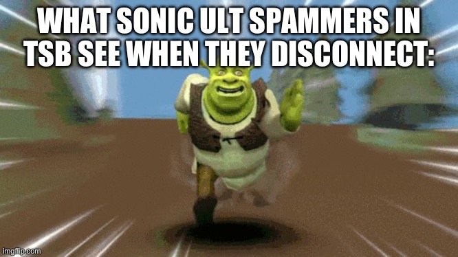 tsb slander | WHAT SONIC ULT SPAMMERS IN TSB SEE WHEN THEY DISCONNECT: | image tagged in shrek run meme | made w/ Imgflip meme maker