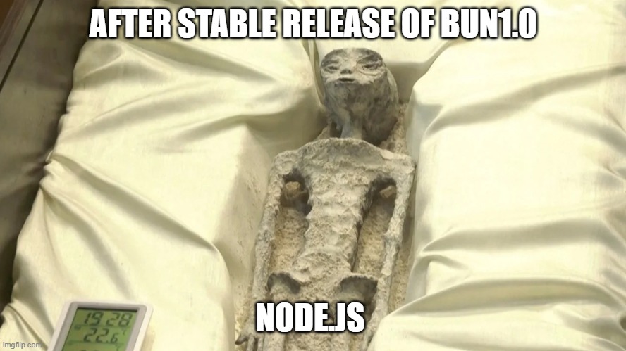 Suspected ‘non-human’ bodies displayed at UFO hearing in Mexico | AFTER STABLE RELEASE OF BUN1.0; NODE.JS | image tagged in suspected non-human bodies displayed at ufo hearing in mexico | made w/ Imgflip meme maker