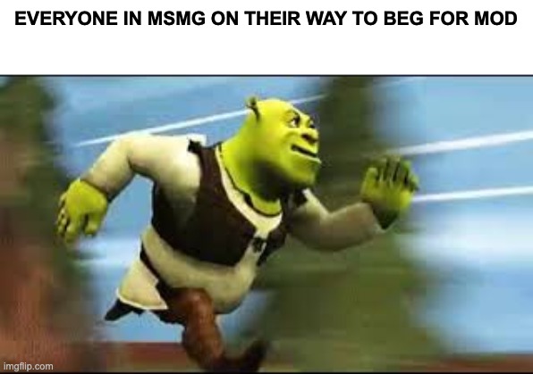 Shrek Running | EVERYONE IN MSMG ON THEIR WAY TO BEG FOR MOD | image tagged in shrek running | made w/ Imgflip meme maker