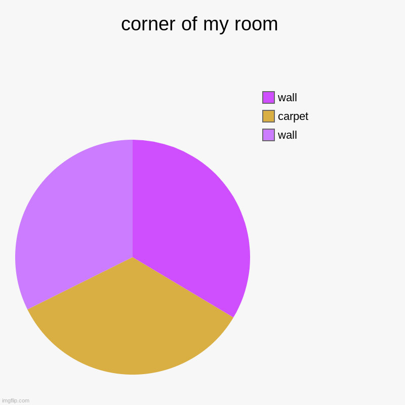 corner of my room | corner of my room | wall, carpet, wall | image tagged in charts,pie charts | made w/ Imgflip chart maker