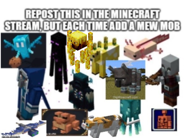 IDK | image tagged in minecraft mobs | made w/ Imgflip meme maker