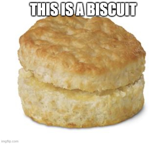 Donut Biscuit | THIS IS A BISCUIT | image tagged in donut biscuit | made w/ Imgflip meme maker