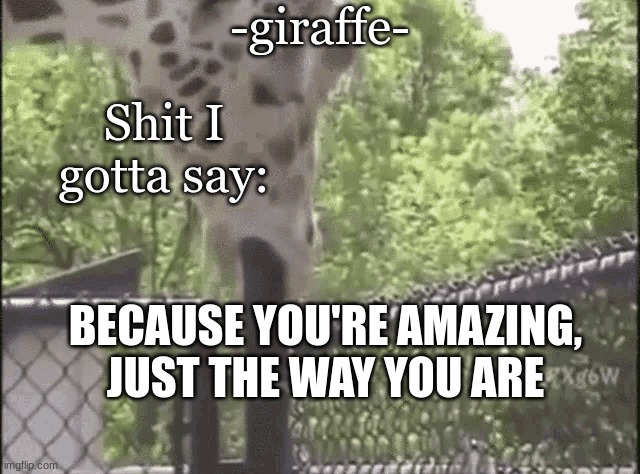 Image tagged in -giraffe- - Imgflip