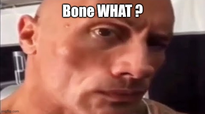 the rock eyebrow | Bone WHAT ? | image tagged in the rock eyebrow | made w/ Imgflip meme maker