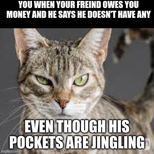 Yeah, sure... | YOU WHEN YOUR FREIND OWES YOU MONEY AND HE SAYS HE DOESN'T HAVE ANY; EVEN THOUGH HIS POCKETS ARE JINGLING | image tagged in memes,funny memes | made w/ Imgflip meme maker