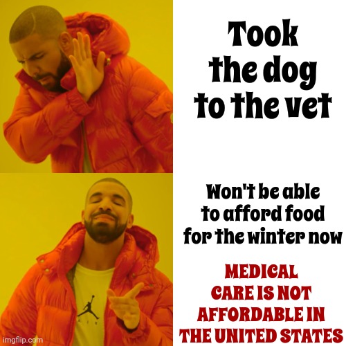 Everyone, Including The Animals, Are Sacrificed For The Almighty Dollar And Corporate Stocks In The United States | Took the dog to the vet; Won't be able to afford food for the winter now; MEDICAL CARE IS NOT AFFORDABLE IN THE UNITED STATES | image tagged in memes,drake hotline bling,we're all doomed,pack your things we're leaving,fuck this shit,what's going on | made w/ Imgflip meme maker