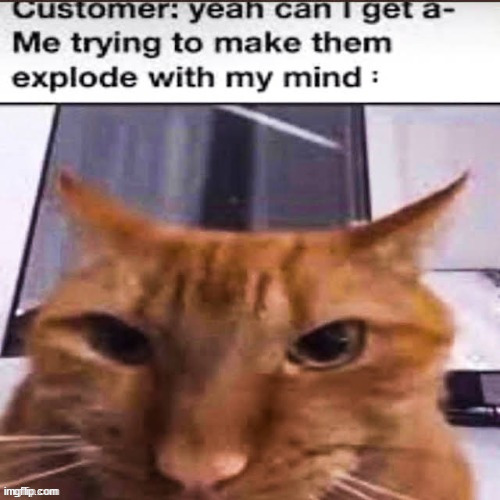 MAH FUCKIN' CUSTOMER!!! | made w/ Imgflip meme maker