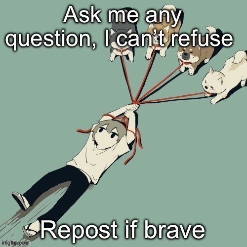 fr ask me anything | image tagged in avagogod | made w/ Imgflip meme maker
