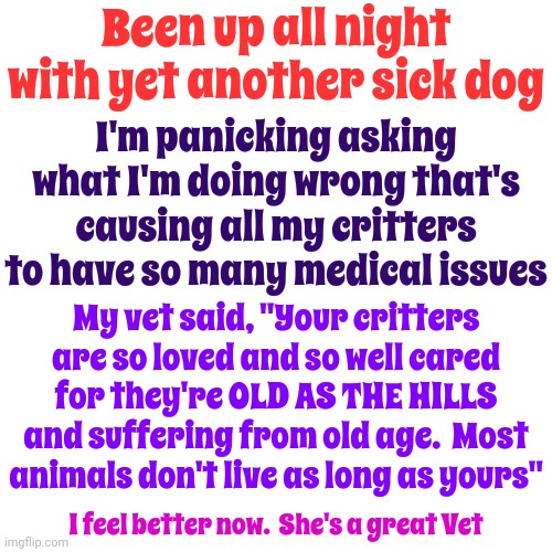 Animals Are People Too | Been up all night with yet another sick dog; I'm panicking asking what I'm doing wrong that's causing all my critters to have so many medical issues; My vet said, "Your critters are so loved and so well cared for they're OLD AS THE HILLS and suffering from old age.  Most animals don't live as long as yours"; I feel better now.  She's a great Vet | image tagged in dogs,cats,birds,veterinarian,old age,memes | made w/ Imgflip meme maker