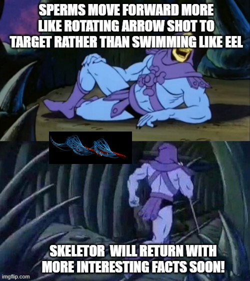 Skeletor interestings facts | SPERMS MOVE FORWARD MORE LIKE ROTATING ARROW SHOT TO TARGET RATHER THAN SWIMMING LIKE EEL; SKELETOR  WILL RETURN WITH MORE INTERESTING FACTS SOON! | image tagged in skeletor disturbing facts,facts,science,biology | made w/ Imgflip meme maker