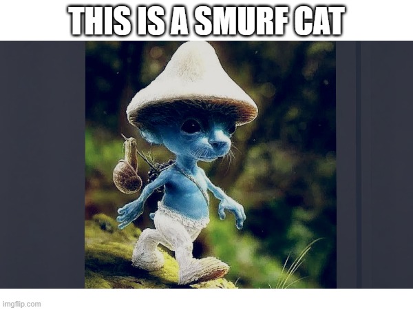 THIS IS A SMURF CAT | image tagged in smurf | made w/ Imgflip meme maker