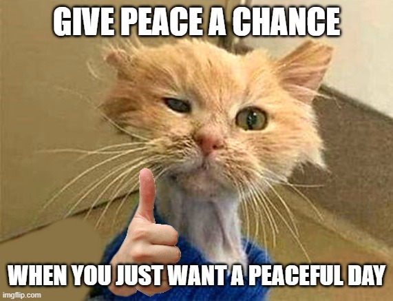 thumb cat | GIVE PEACE A CHANCE; WHEN YOU JUST WANT A PEACEFUL DAY | image tagged in thumb cat | made w/ Imgflip meme maker