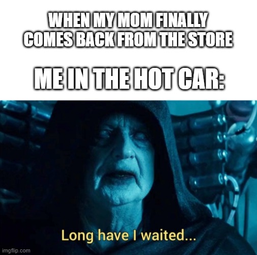 SHE TAKES FOREVER!!! | WHEN MY MOM FINALLY COMES BACK FROM THE STORE; ME IN THE HOT CAR: | image tagged in memes,long have i waited,car,mom,hot,grocery store | made w/ Imgflip meme maker