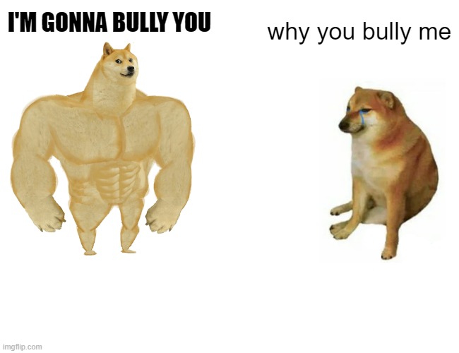 When your weak | I'M GONNA BULLY YOU; why you bully me | image tagged in memes,buff doge vs cheems | made w/ Imgflip meme maker