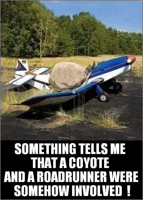 Smashed  Plane ! | SOMETHING TELLS ME 
THAT A COYOTE 
AND A ROADRUNNER WERE
 SOMEHOW INVOLVED  ! | image tagged in fun,smashed,plane,wile e coyote,roadrunner | made w/ Imgflip meme maker