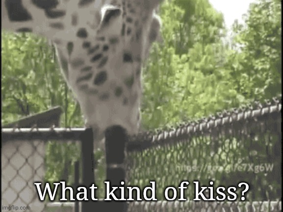 What kind of kiss? | made w/ Imgflip meme maker