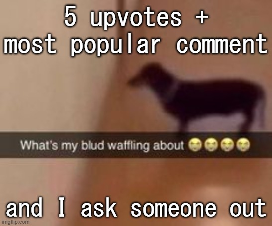 I'm bored as hell | 5 upvotes + most popular comment; and I ask someone out | image tagged in what's my blud waffling about | made w/ Imgflip meme maker