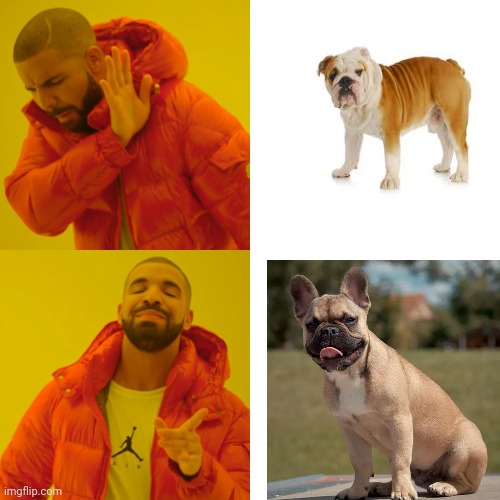 Drake Hotline Bling Meme | image tagged in memes,drake hotline bling | made w/ Imgflip meme maker