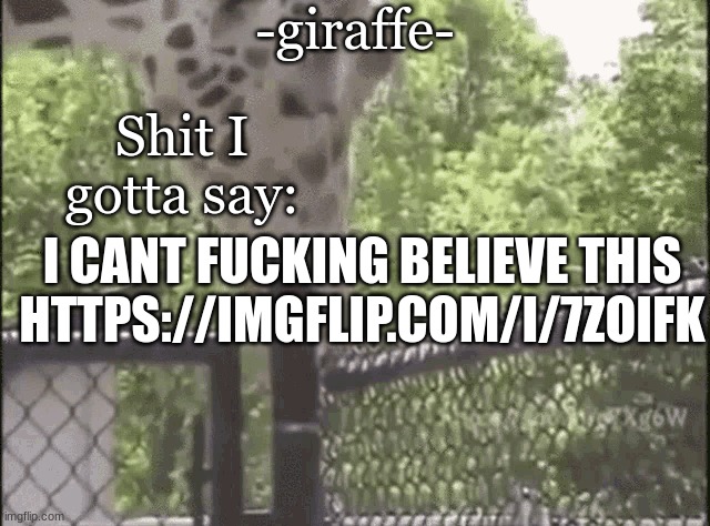 -giraffe- - Imgflip