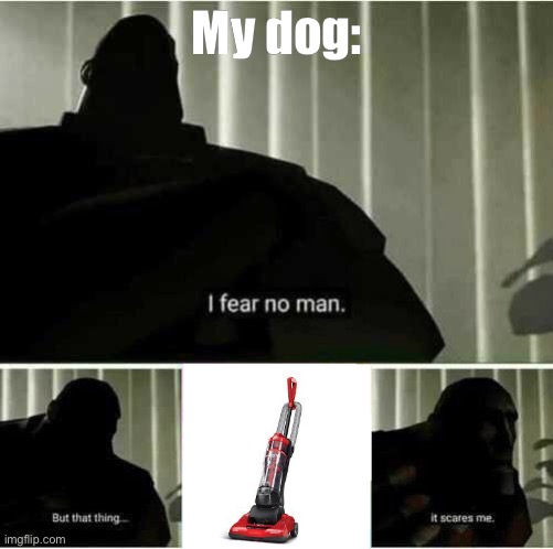 My dog ?? | My dog: | image tagged in i fear no man | made w/ Imgflip meme maker