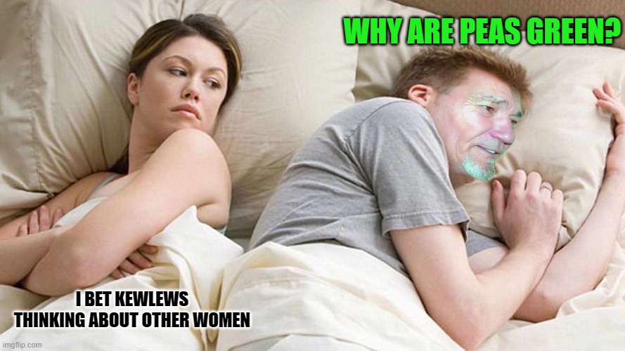WHY ARE PEAS GREEN? I BET KEWLEWS THINKING ABOUT OTHER WOMEN | image tagged in i bet kewlews thinking about other women | made w/ Imgflip meme maker