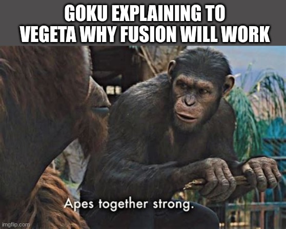 e | GOKU EXPLAINING TO VEGETA WHY FUSION WILL WORK | image tagged in apes strong together,dragon ball | made w/ Imgflip meme maker