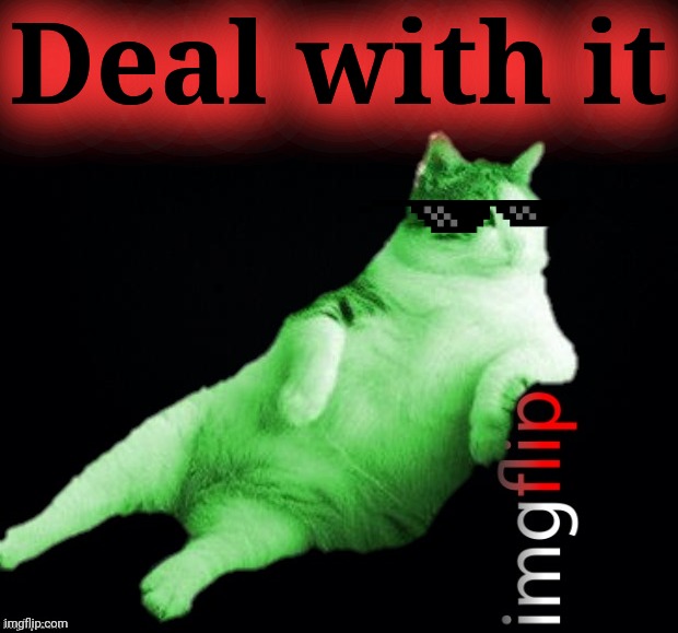 Deal with it | made w/ Imgflip meme maker