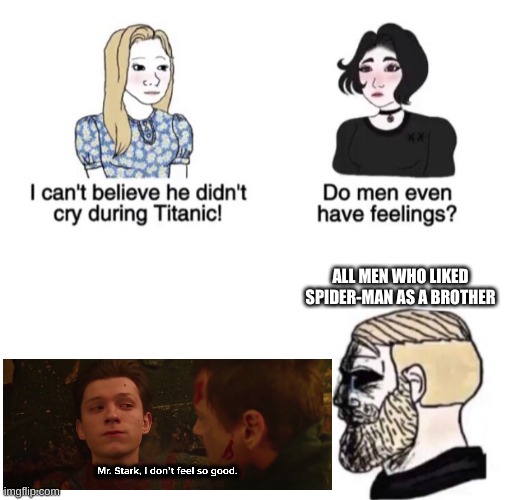 spider-man sadness | ALL MEN WHO LIKED SPIDER-MAN AS A BROTHER | image tagged in chad crying | made w/ Imgflip meme maker